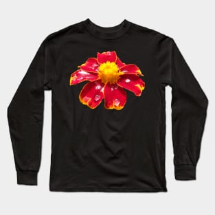 marigold red flower with raindrops, flowers Long Sleeve T-Shirt